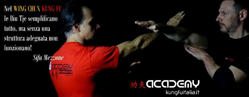 Kung Fu Academy Caserta di Sifu Salvatore Mezzone Accademia di Wing Chun e Tai Chi Quan (1)